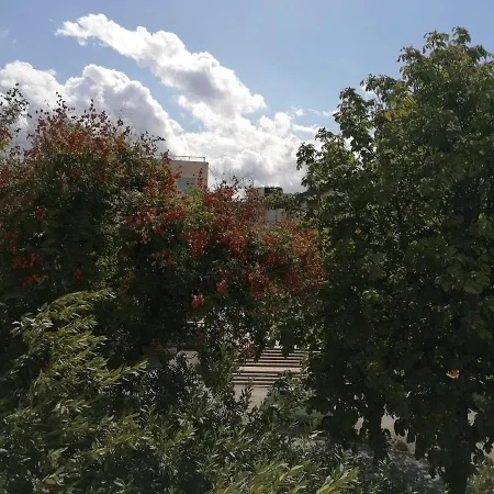 Adriatic Luxury Apartament *